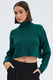 Green Knit Jumper Turtle Neck Crop